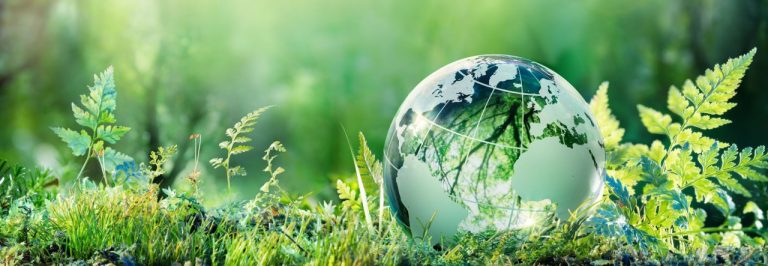 “Wurkplace Hub dashboard displaying sustainability metrics like carbon usage, recycling rates, and energy savings”